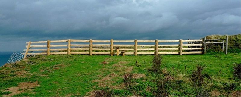 Fence