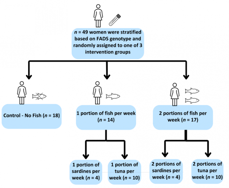 IFish Study Diagram