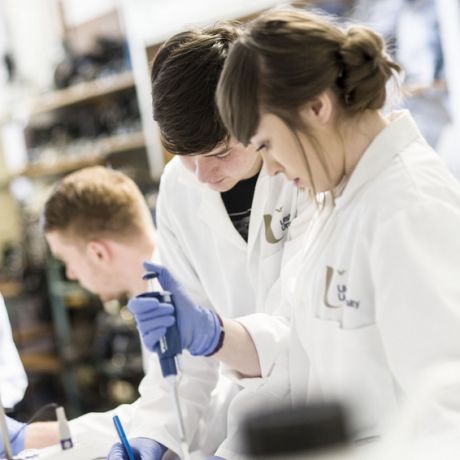 Bio and Healthcare Sciences