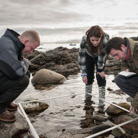 Online Postgraduate courses in the School of Geography and Environmental Sciences