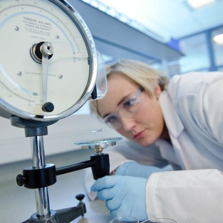 Access our research expertise