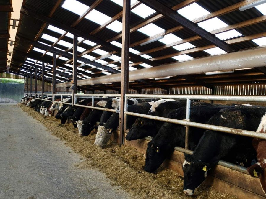 Ulster University playing its part in reducing food wastage across Europe in €4.8m project image