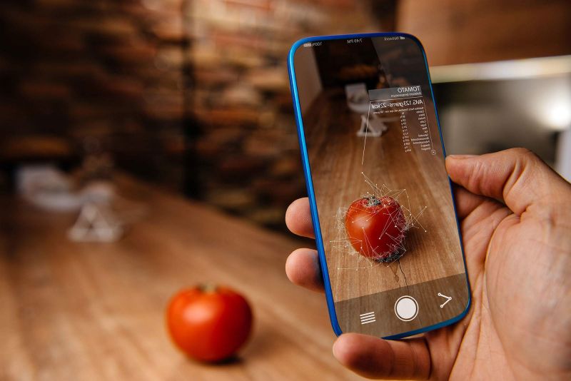 Webinar | MSc Food Design and Innovation
