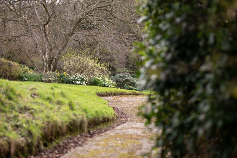 The Wellbeing Garden