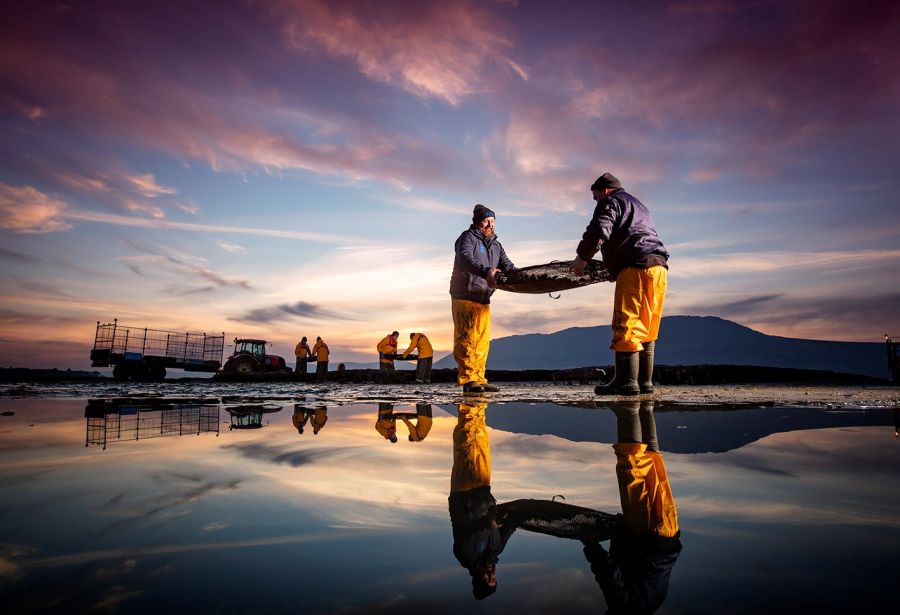 Ulster University to host Gastronomy Summit 2022 image