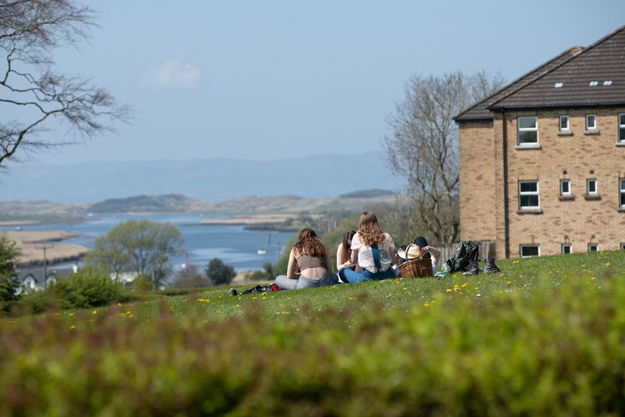 Picnic Perfect: A Student’s Guide to Outdoor Fun image