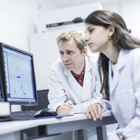 PhD Opportunities