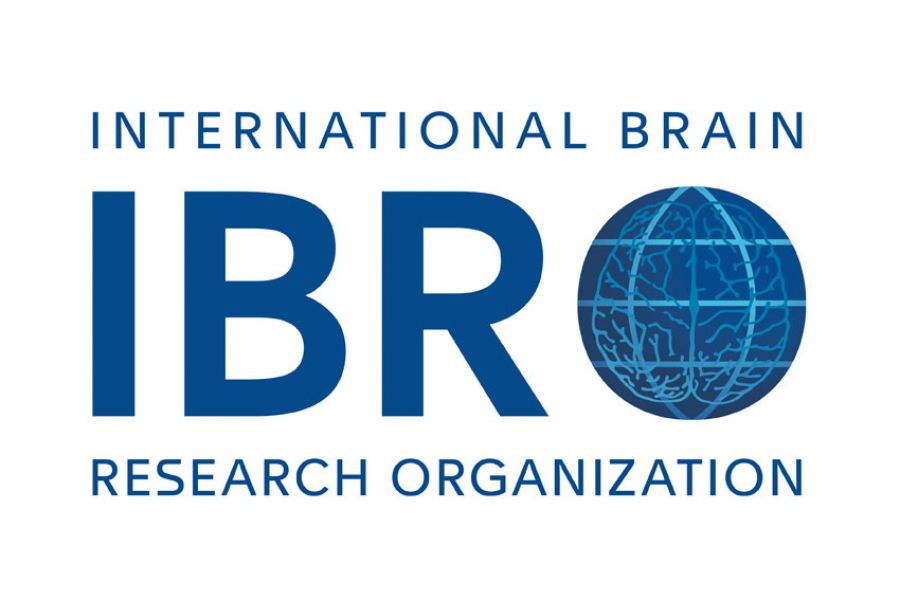 IBRO