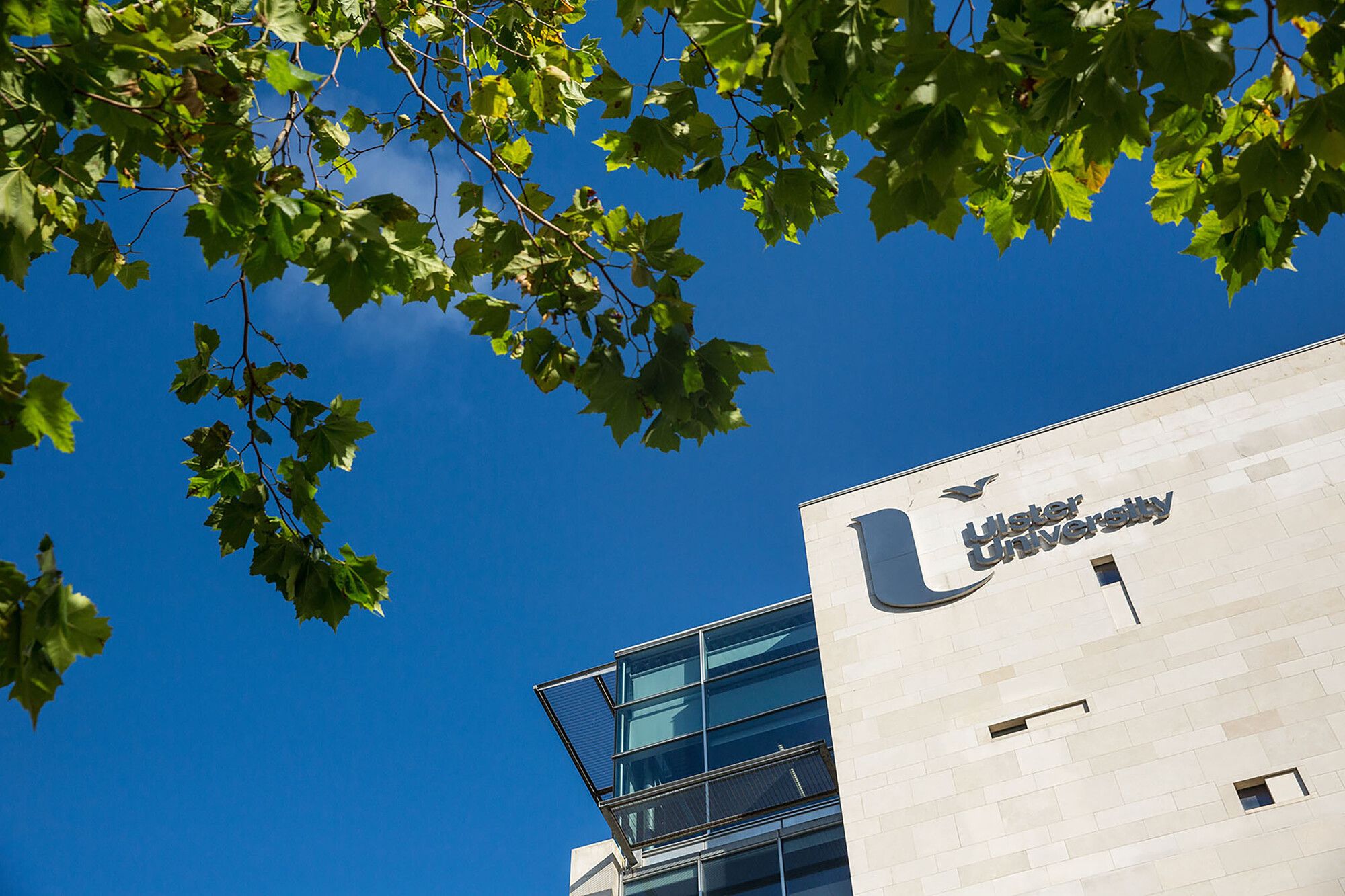 Ulster University Council image