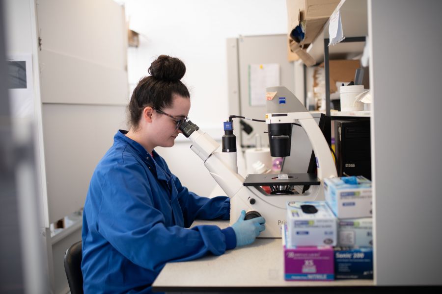  Ulster University researchers working to improve dementia diagnosis and develop new treatment strategies for Alzheimer’s disease through personalised medicine  image
