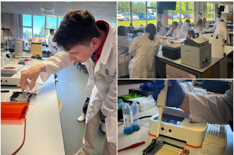 CPD Training Equips Biology Teachers with Cutting-Edge Molecular Techniques image