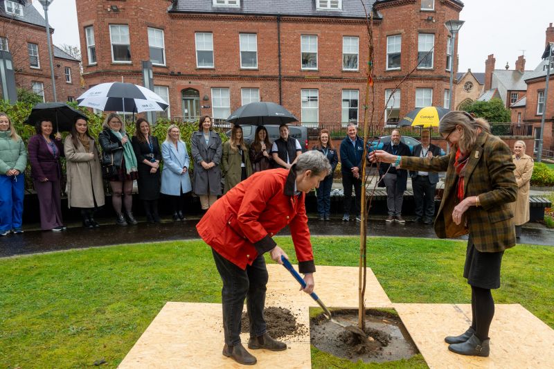 National Memorial Tree campaign pays tribute to health and social care professionals at Ulster University