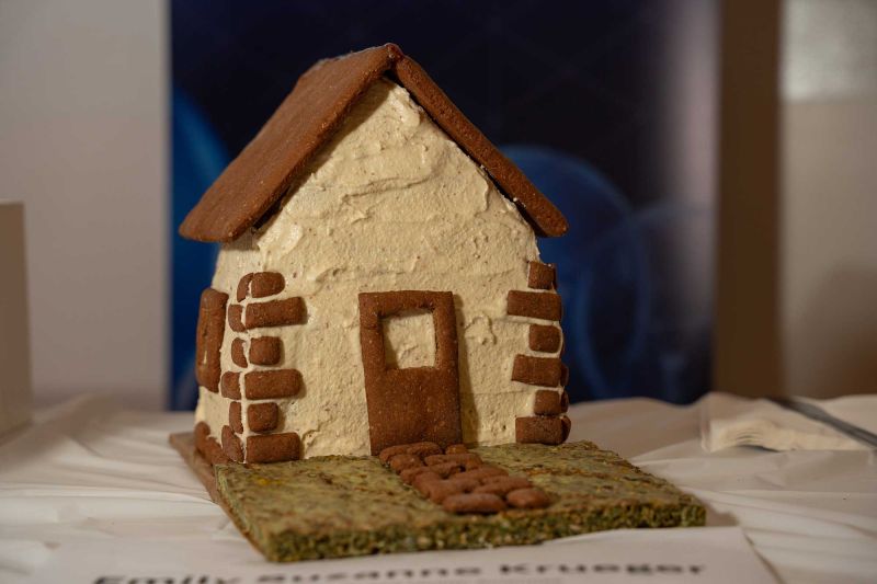Healthy and Sweet Household - Emily Krueger, Faculty of Life and Health Sciences