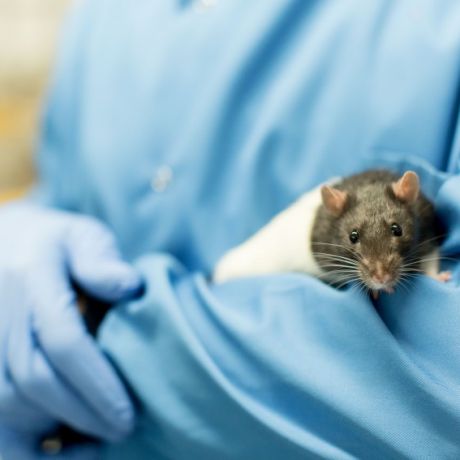 Biomedical and Behavioural Research Unit