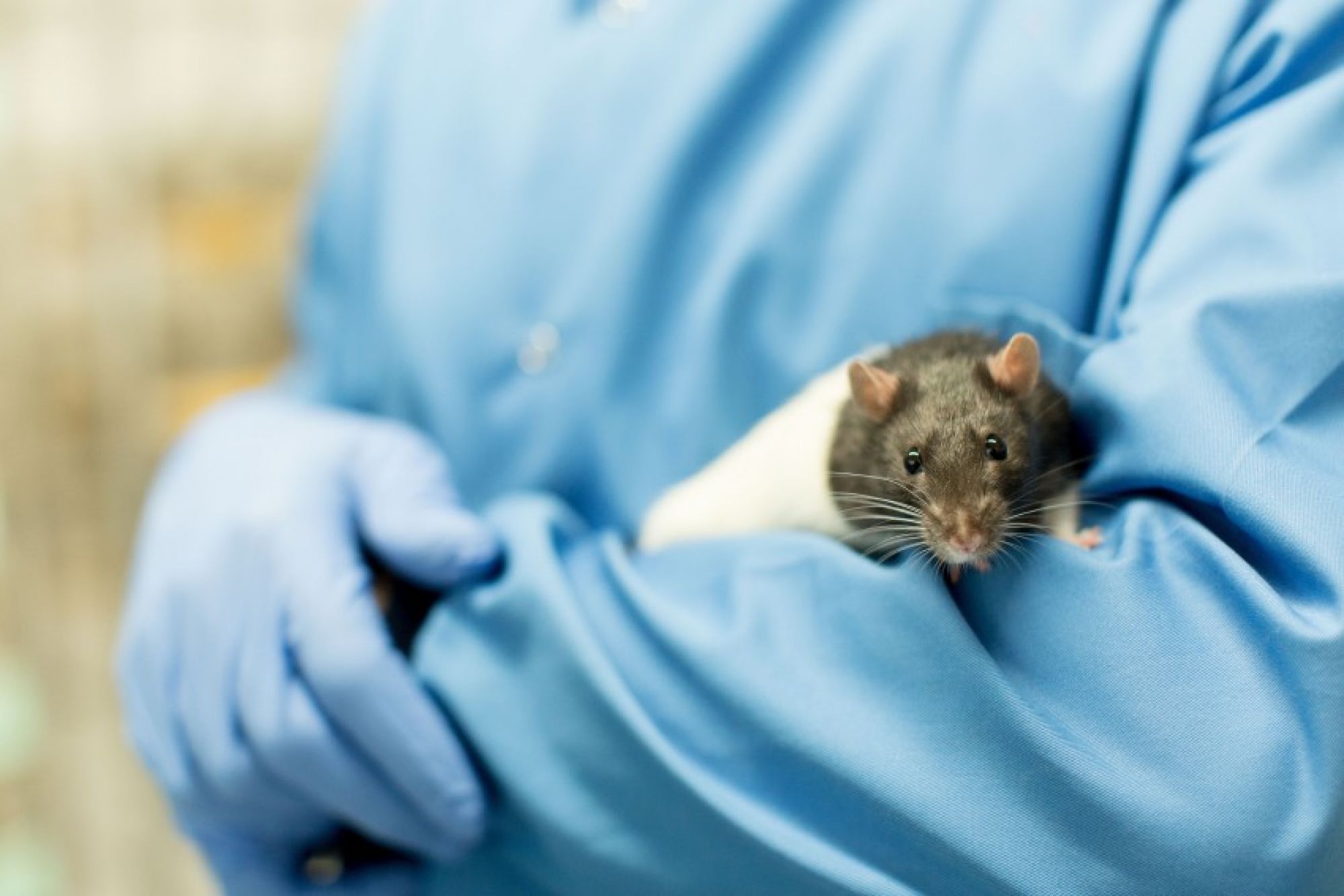 Biomedical and Behavioural Research Unit image