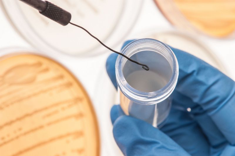 Petri dishes