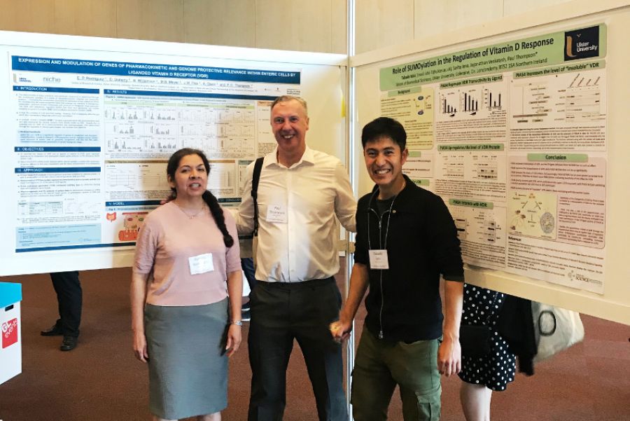 Vitamin-d workshop, Barcelona May 2018 image