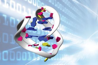 The shape of quadruple-helix DNA can be controlled