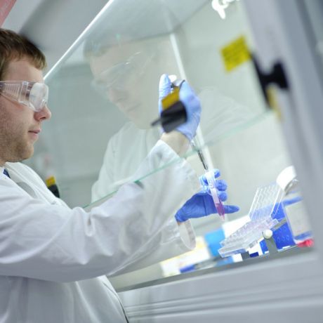 Postgraduate study in Pharmacy