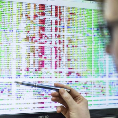 eLearning courses in School of Biomedical Sciences