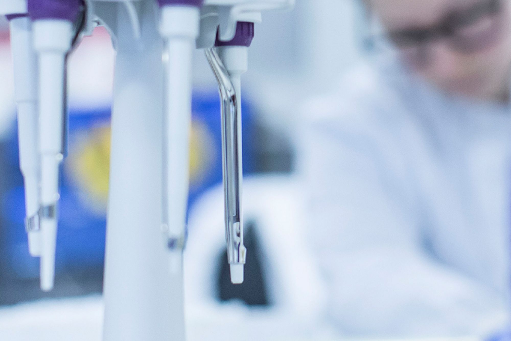 PhD Students image
