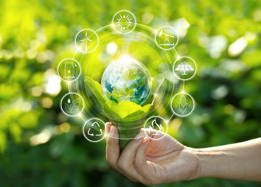 Skills and Competencies for Sustainable Business Futures image