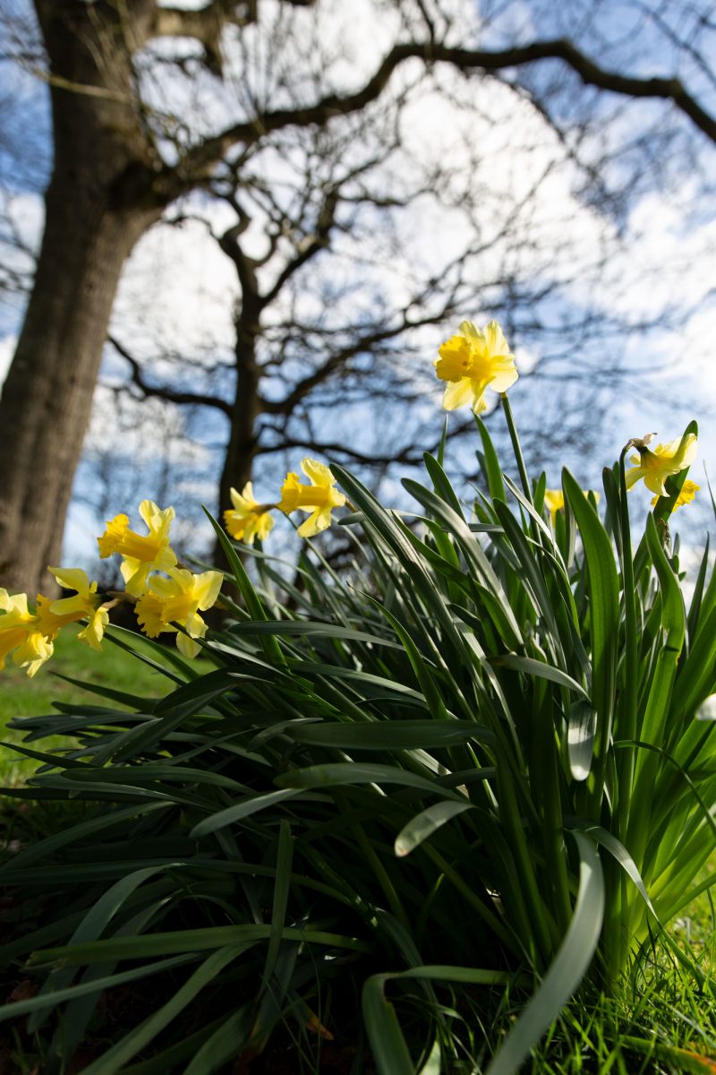 April blog hope1 image