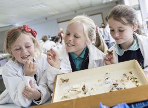 Seeing is Believing for Mill Strand students at Ulster University