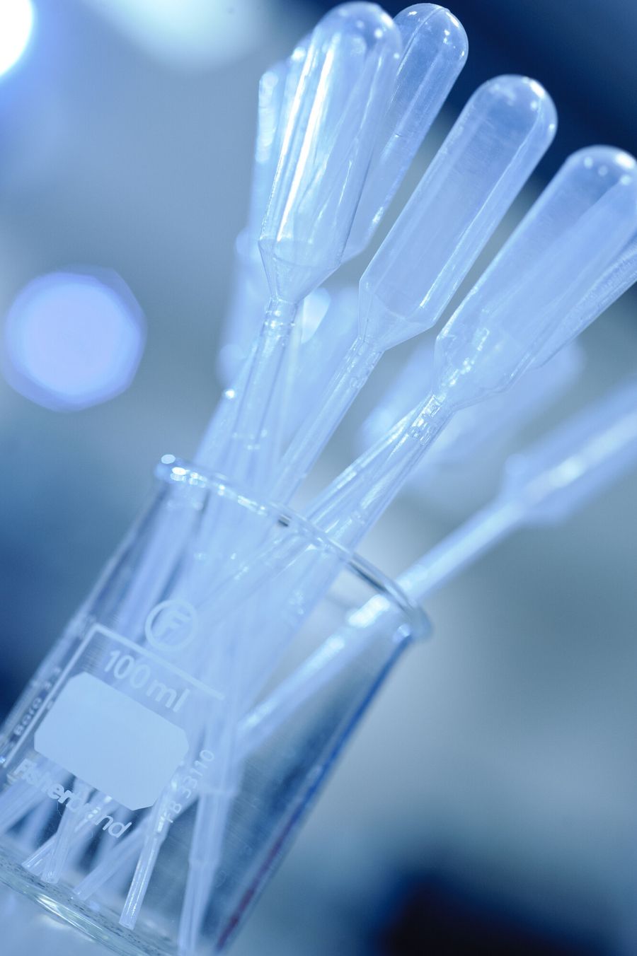 Pharmacy and Pharmaceutical Sciences Student Ambassador  image