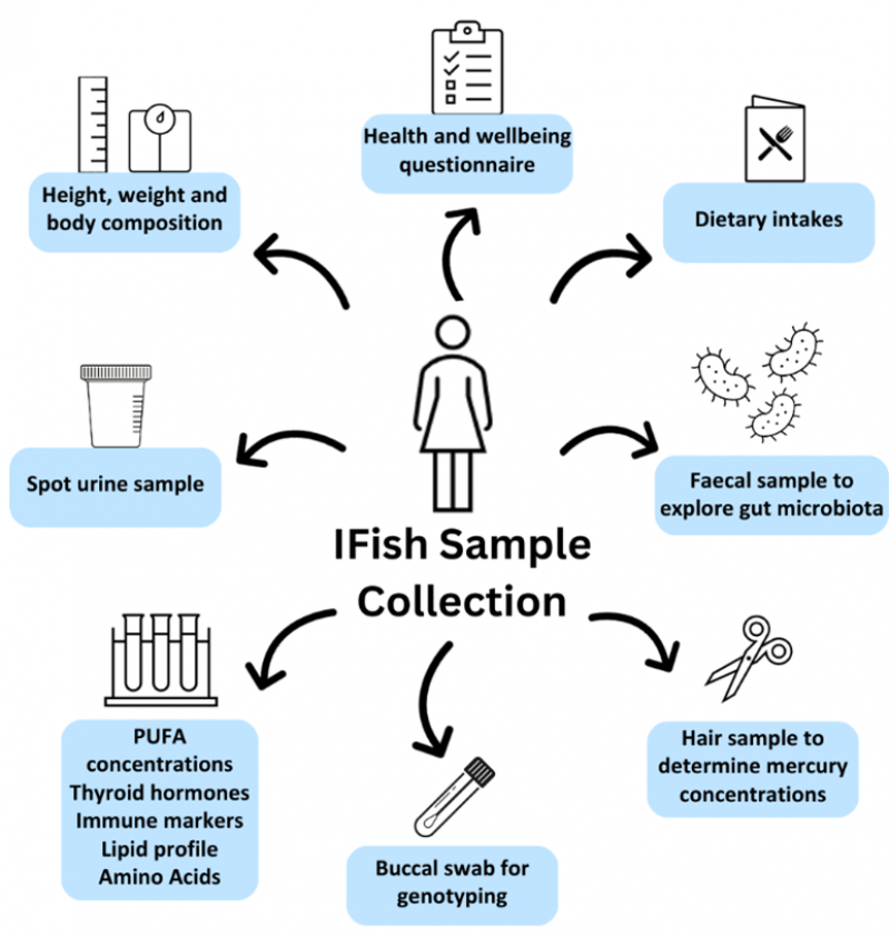 IFIsh Study Sample collection