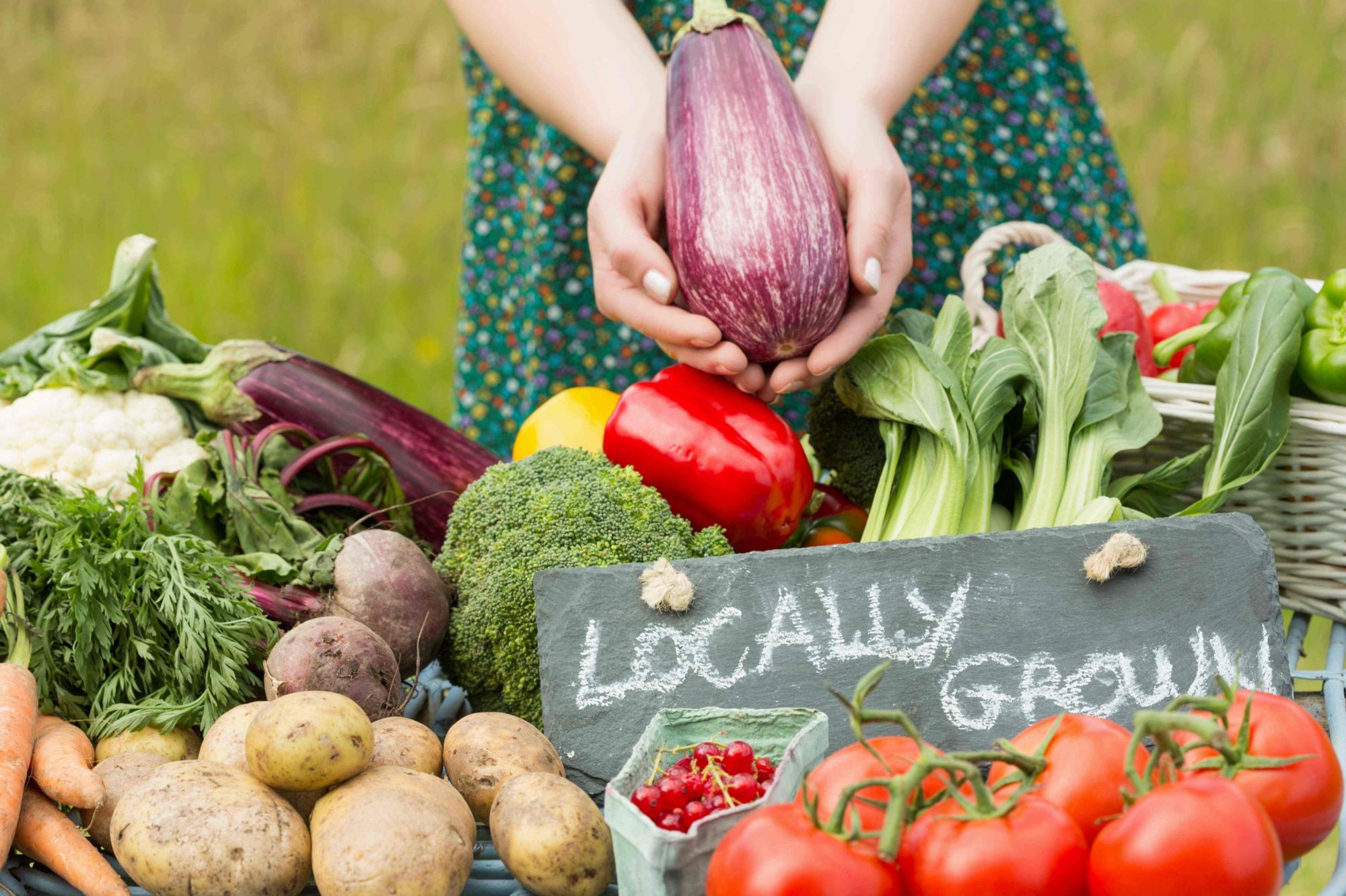 Emerging Local Food Networks: A Basis for Sustainable Consumption? image