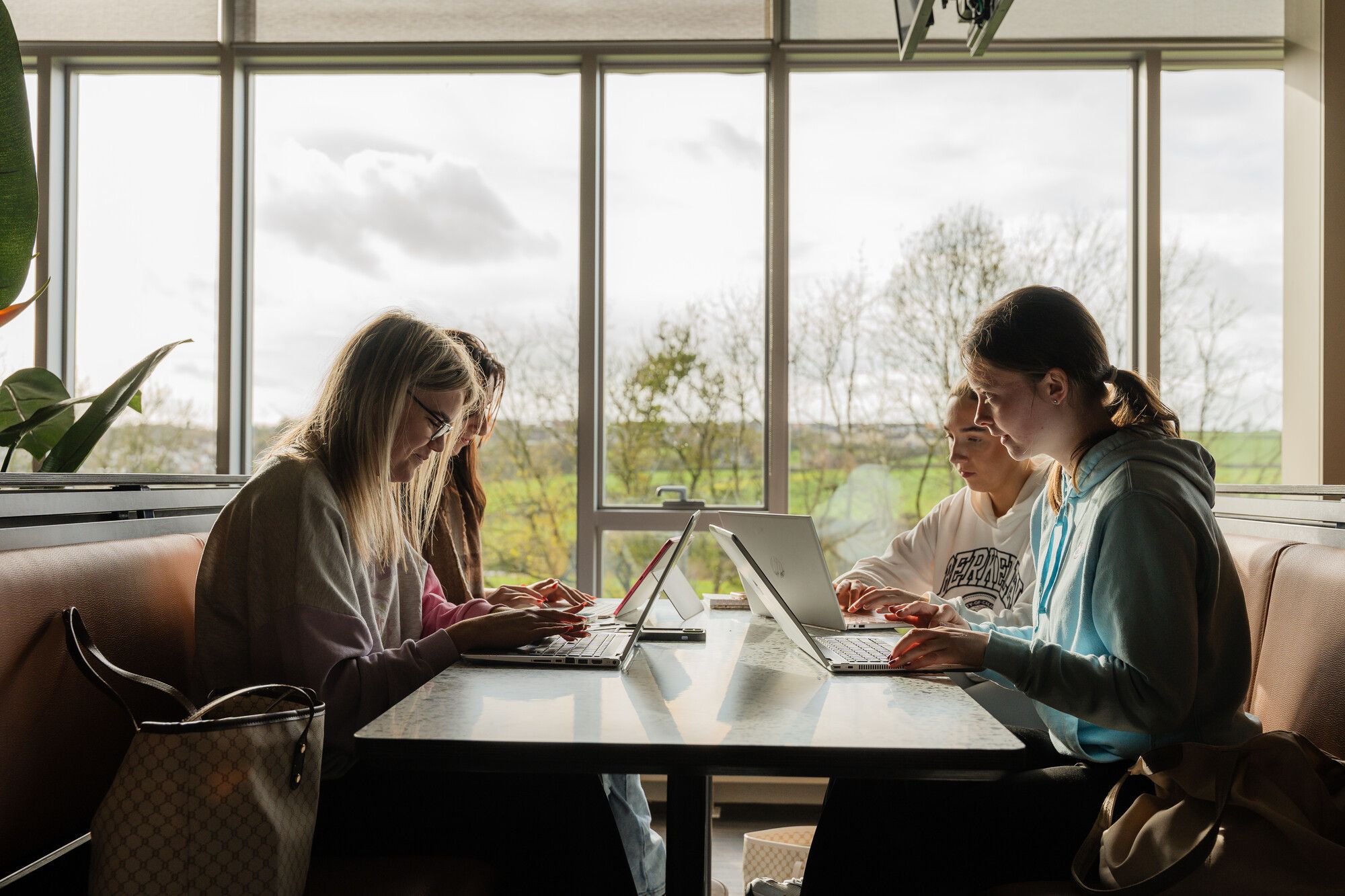 A group of students studying with laptops in University canteen