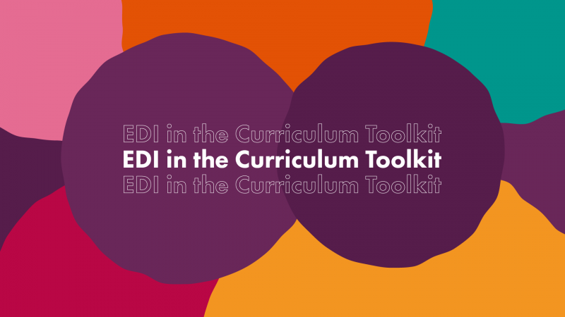 EDI in the Curriculum Toolkit image