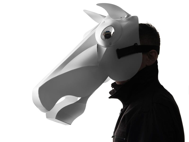 How Do We Know a Horse? image