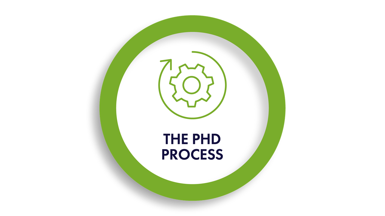 The PhD Process image