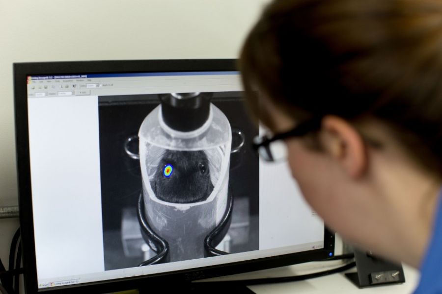 Case Studies image