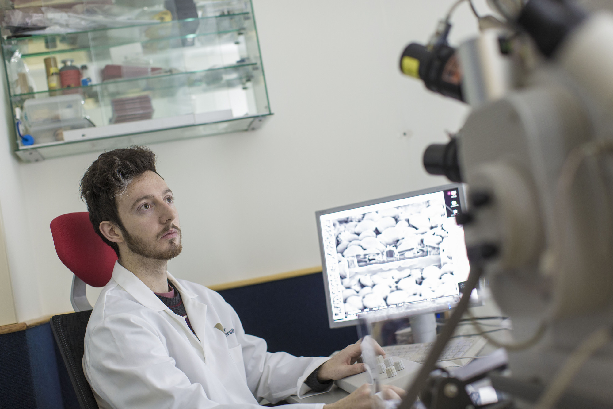 Bioimaging