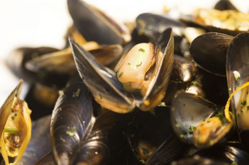 Fish and Seafood in Health image