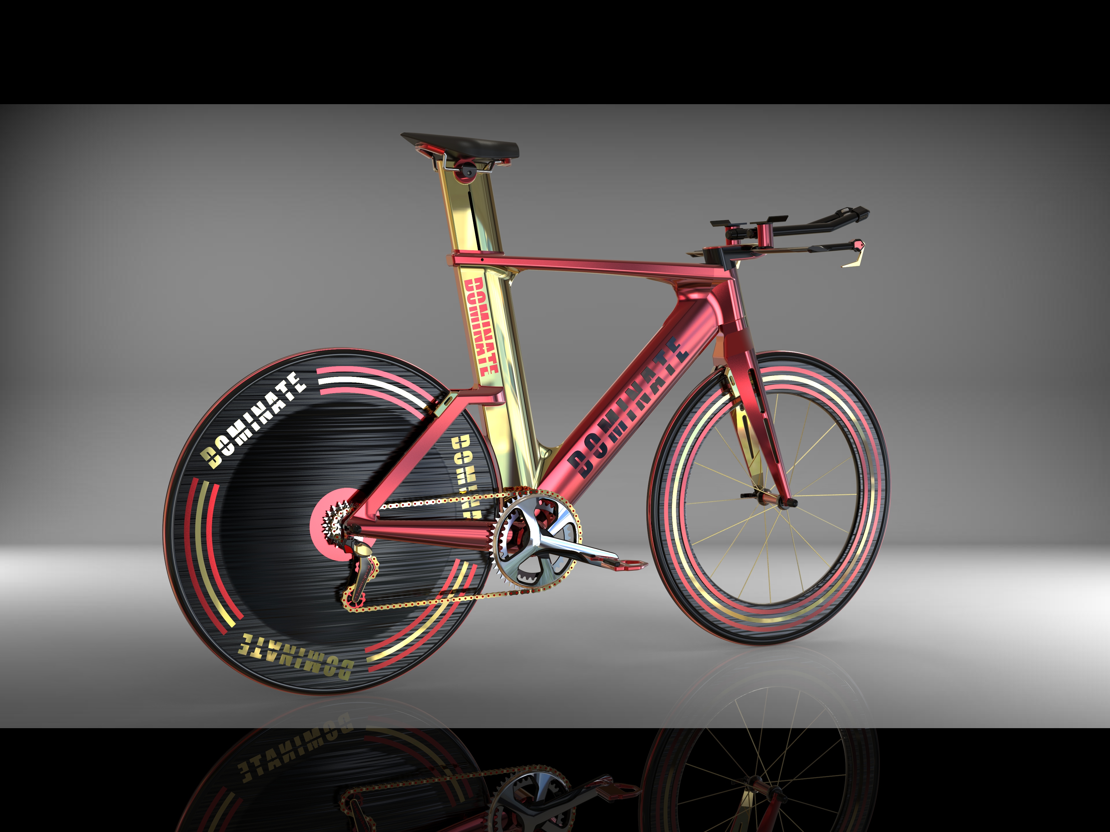 Triathlon Bike