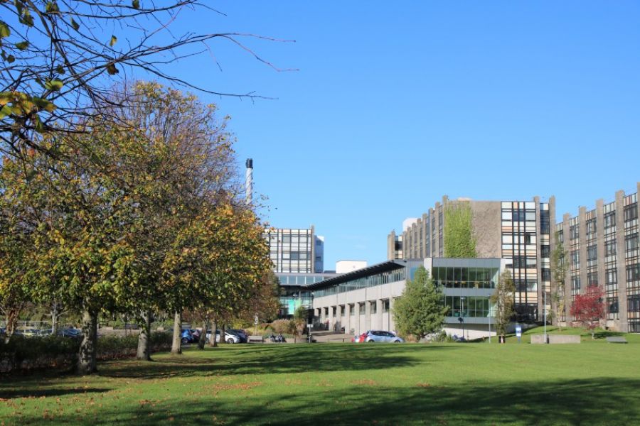 Study Law at Belfast image