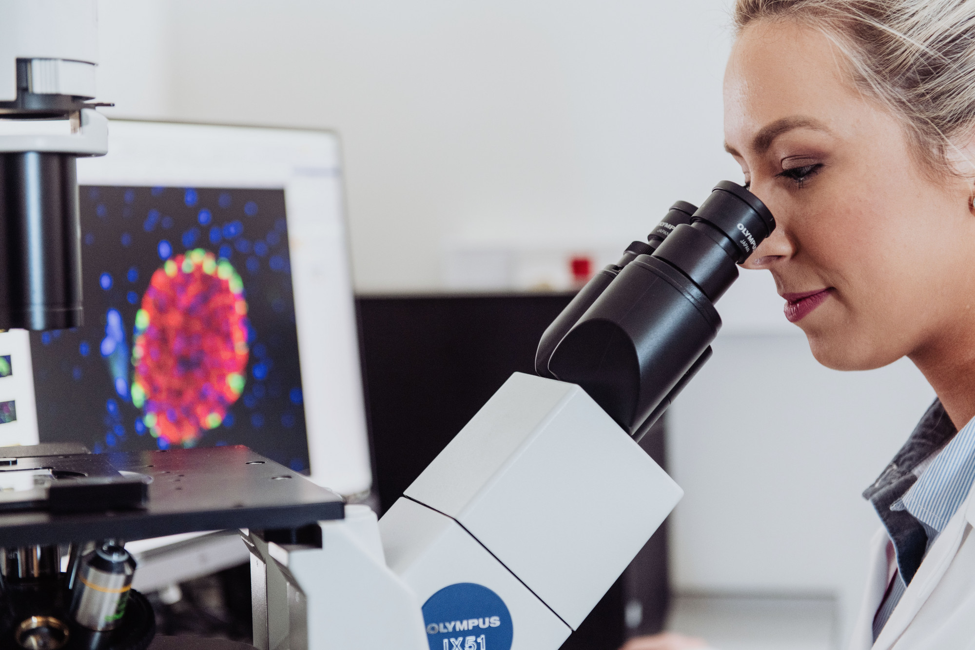 Medicines Discovery Catapult Virtual Visit to NI Health Innovation Research Alliance Northern