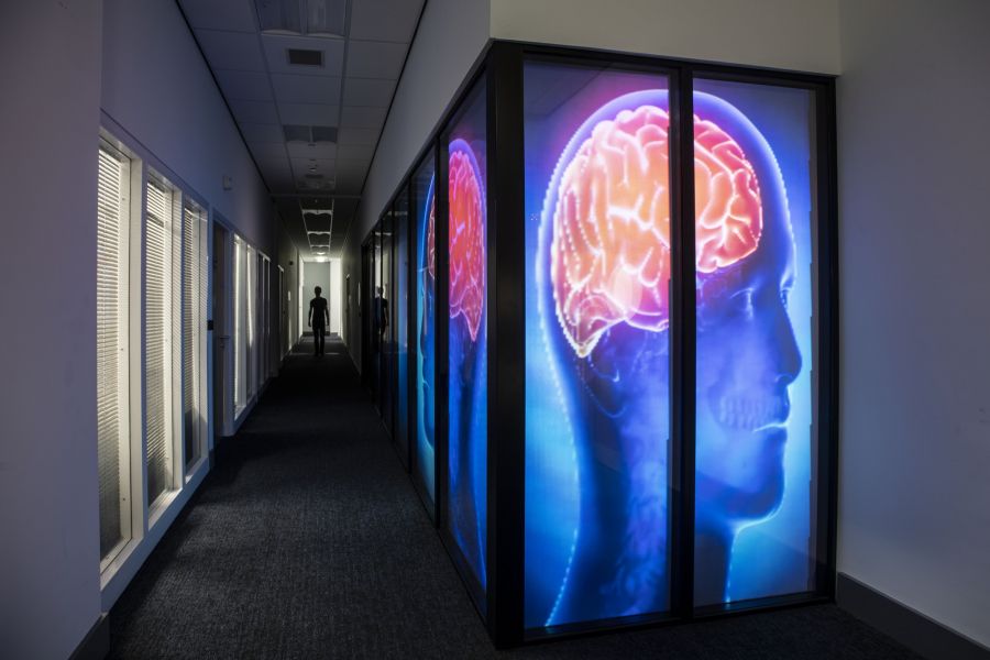 Interactive Workshop: Boost Your Brain Health image