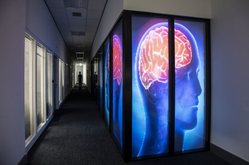 Interactive Workshop: Boost Your Brain Health image