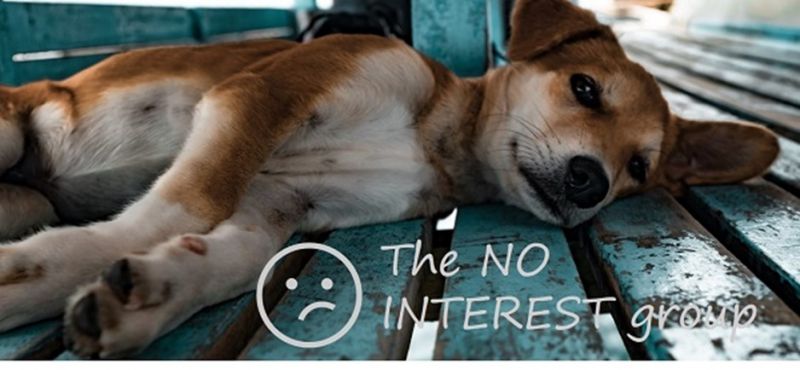 No Interest Group