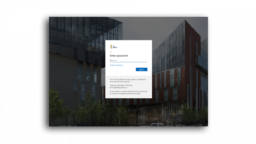 Microsoft 365