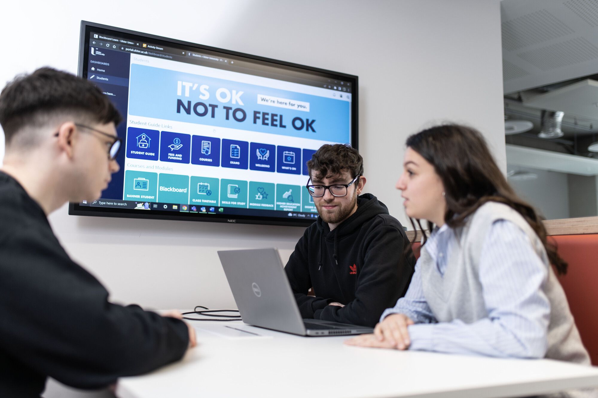 The Ulster University Student Wellbeing Study image