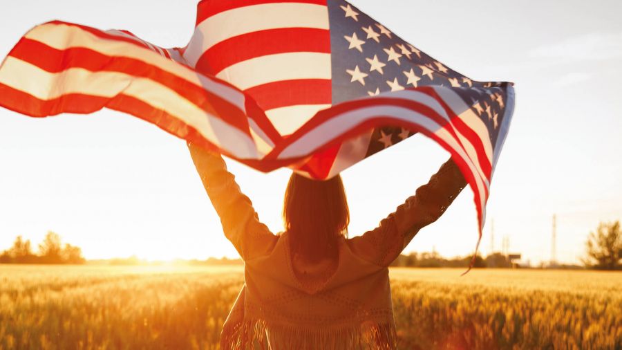 Study USA Scheme image