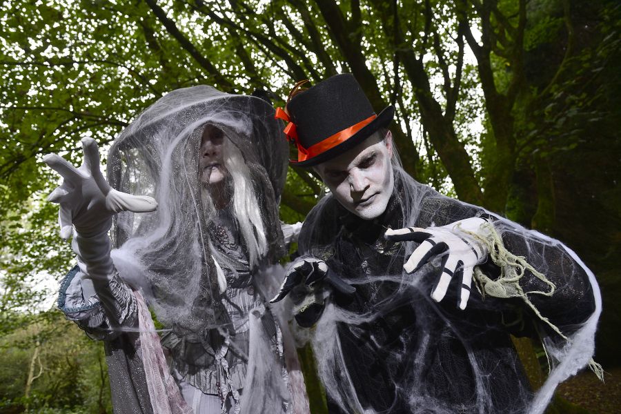 Haunted Happenings:    Immerse yourself in Halloween at Ulster University   image