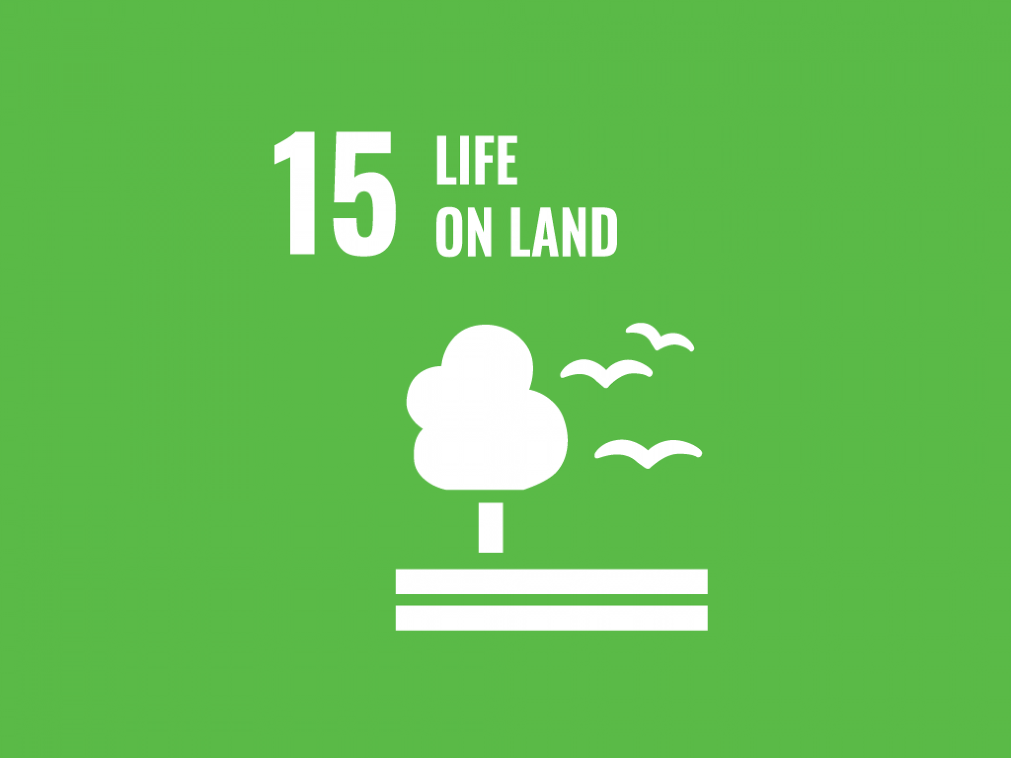 News: Life on Land – Protect & restore ecosystems & halt biodiversity loss image