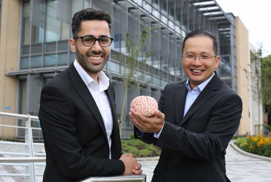 Ulster University Researchers develop neural computational model of decision uncertainty and change-of-mind image